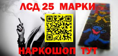сатива Гатчина