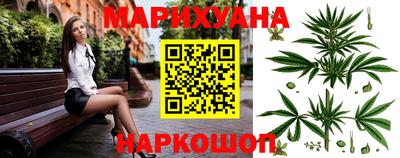 сатива Гатчина