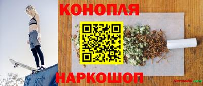 сатива Гатчина
