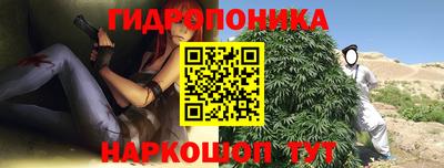сатива Гатчина
