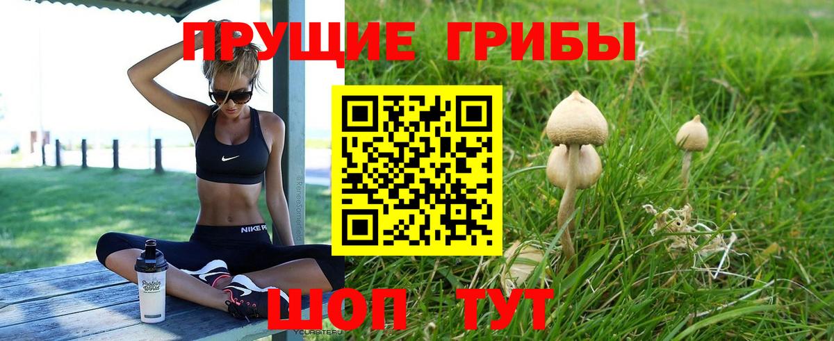 Нижневартовск  Псилоцибиновые грибы прущие грибы  закладки  Вход с VPN 