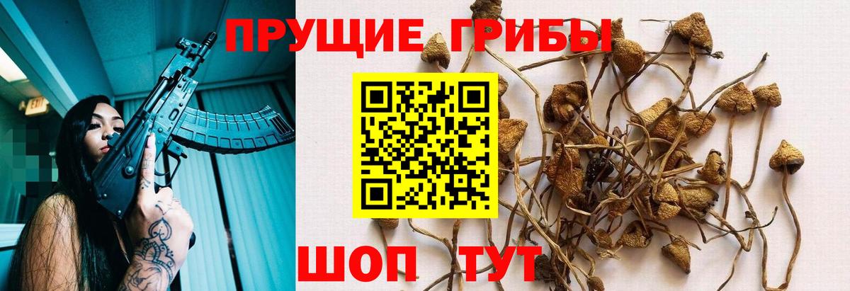 Псилоцибиновые грибы Нижневартовск